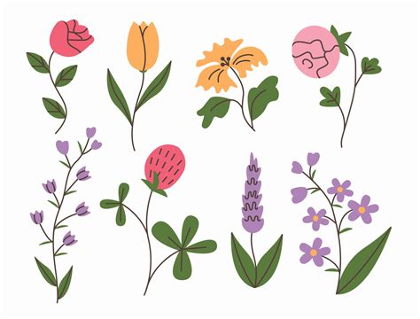 Spring And Summer Flowers Set Simple Doodle Flower Plants Isolated On