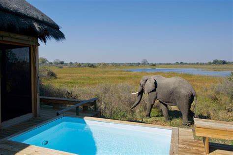 Luxury African Safari Honeymoons Africa Uncovered