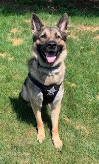 K 9 Berwyn Police Department