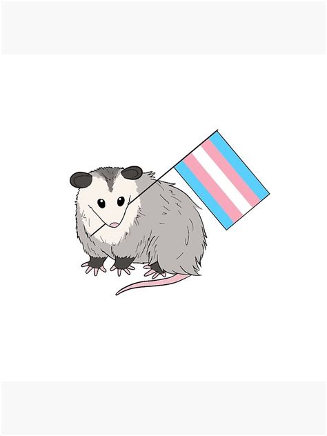 Trans Rights Possum Pin For Sale By Hawth Art Redbubble