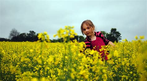 In The Meadow Clover Stands In A Meadow Evan Long Flickr