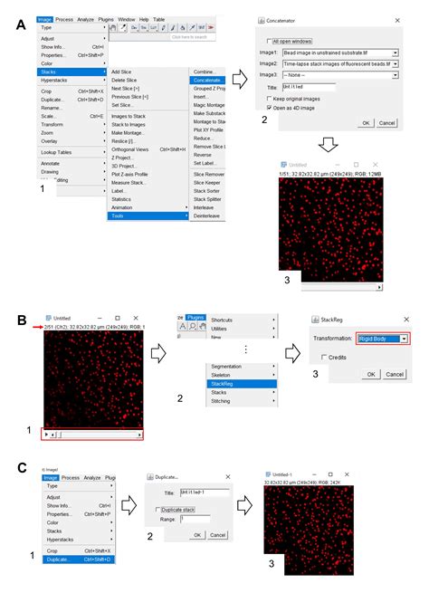 Analyses Of Actin Dynamics Clutch Coupling And Traction Force For