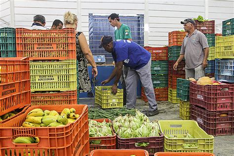 Agricultura Familiar Movimenta Economia E Leva Qualidade Merenda