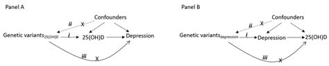 Diagram Showing The Principle Of Mendelian Randomization Mr Analysis