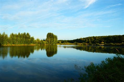 Danau Pohon Cerminan Foto Gratis Di Pixabay Pixabay