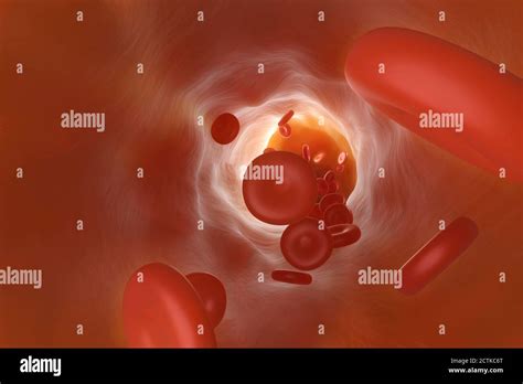 Presentación tridimensional de los glóbulos rojos que fluyen a través