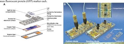 Figure From An Automated And Multiplexed Microfluidic Bioreactor