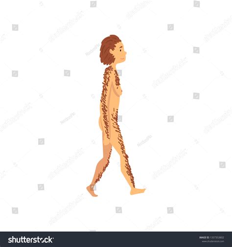 Female Neanderthal Biology Human Evolution Stage Stock Vector Royalty Free 1337353802