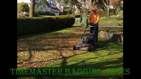 Toro Timemaster Mower Bagging And Mulching Leaves And Cones Youtube