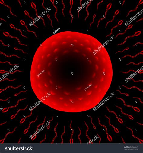 Microscope Xray Fertilization Problem Close Set Stock Vector (Royalty ...