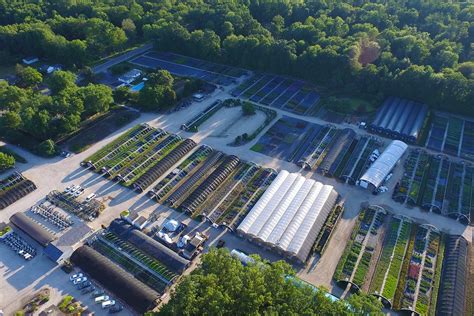 About Us Liveroof Green Roof Systems