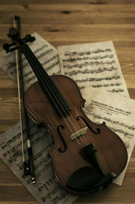 Music Instruments Photography Orchestra Violin 67 Ideas For 2019