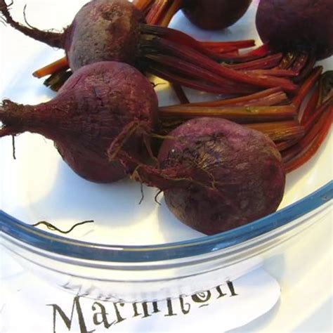 Arriba Imagen Marmiton Recette Betterave Rouge Cuite Fr