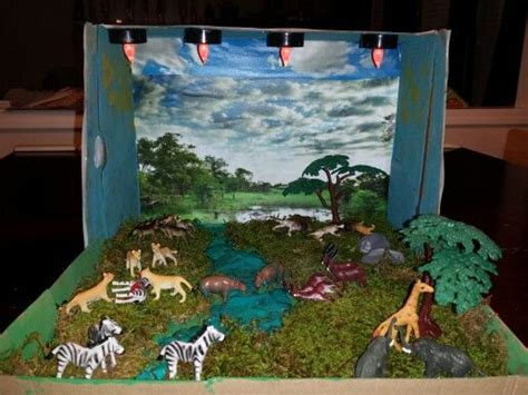 Lion Habitat Diorama School Rainforest Biome Biomes Ecosystems