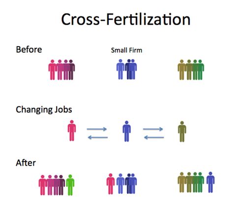 cross-fertilization | The Architects' Take