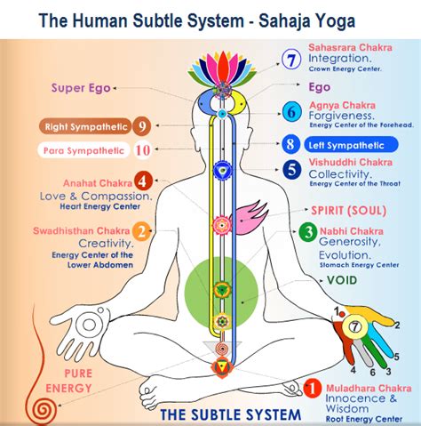 The Kundalini System And The Chakras Sahaja Yoga Tantric Yoga