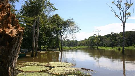 Parque Nacional De Anavilhanas Travel Guide Travel Tips Outdooractive