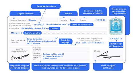 Letra De Cambio Para Llenar Ejemplos Formatos【 2024