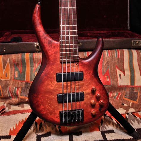 2014 Mtd 534 2417mm 5 String Red Myrtle Burl Reverb Honduran