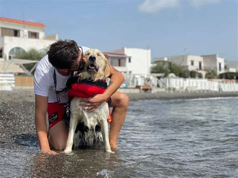 Affonda Pedal Due Cani Bagnino Salvano La Vita A Ragazzi