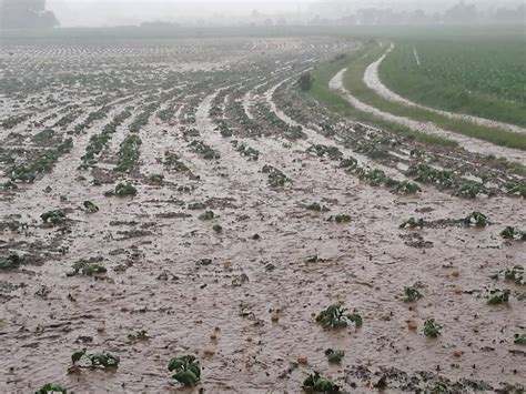 Unwetter im Süden Österreichs SN at