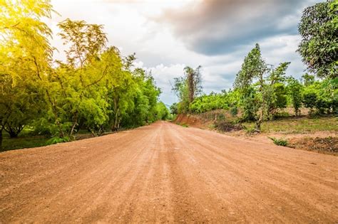 Camino De Tierra En El Bosque Foto Gratis