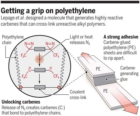 Cross Linking Polyethylene Through Carbenes Science