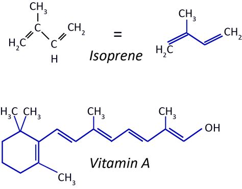 Simple Lipid Structure Diagram