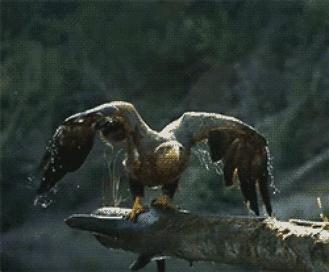 Two Birds Are Perched On A Branch With Water Coming Out Of Its Beaks