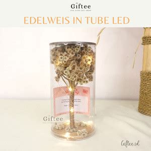 Jual DRIED EDELWEISS FLOWER IN TUBE BUKET EDELWEIS DALAM TABUNG MIKA