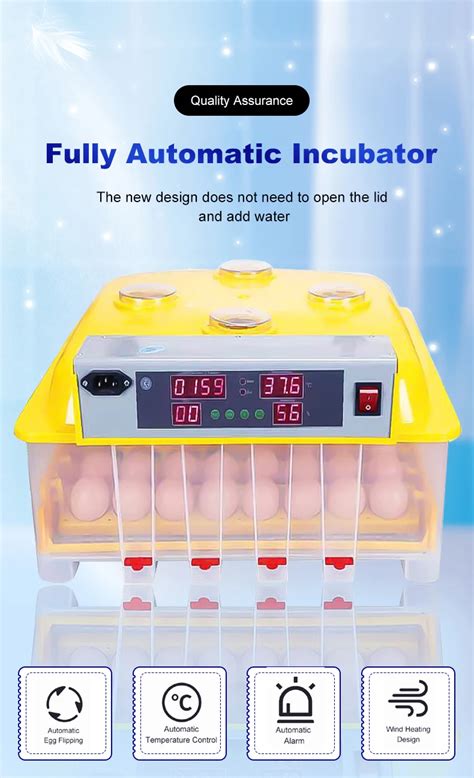 Chocadeira V V Eggs Couveuse Oeuf Automatique Egg Incubator