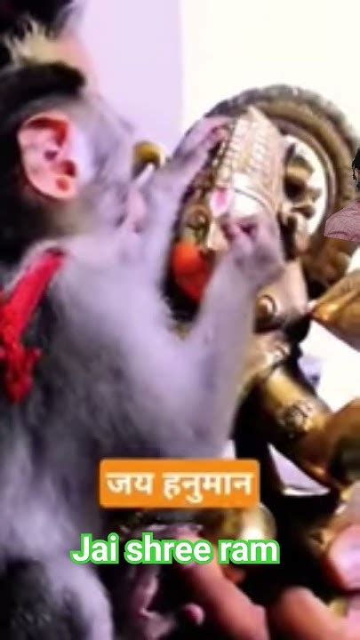 Jai Shree Ram 🙏🙏🙏🌹🌹shortvideo 🙏🙏🙏🪔🪔 Youtube