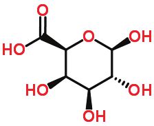 Estrutura química da pectina Disponível em chemspider