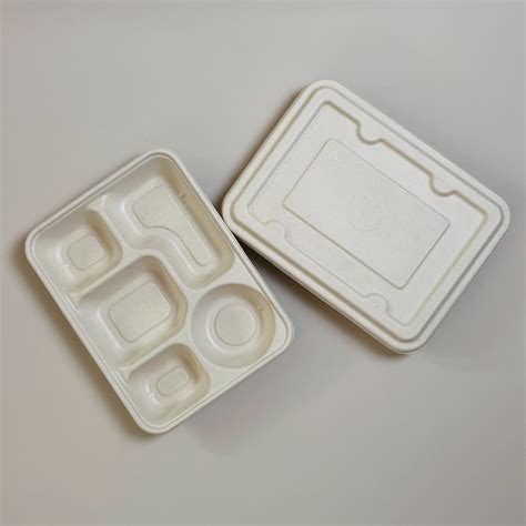 Biodegradable Compartment Bagasse Sugar Cane Paper Pulp Lunch Box