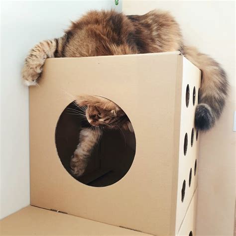 Cardboard 9 Modular Cat House Box Playhouse Furniture Cave Etsy