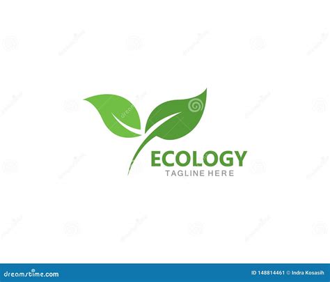 Logotipos Del Vector Verde Del Elemento De La Naturaleza De La Ecolog A