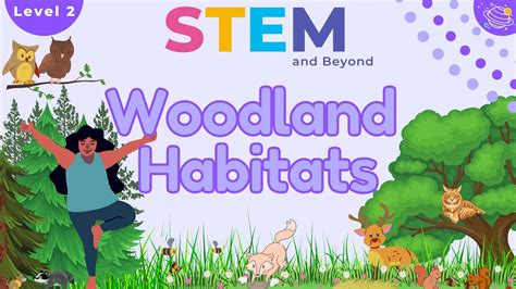 Woodland Habitats Ks1 Year 2 Science Stem Home Learning Youtube