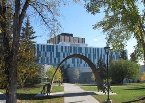 University Of Calgary Uc Университет Калгари Калгари Альберта Канада