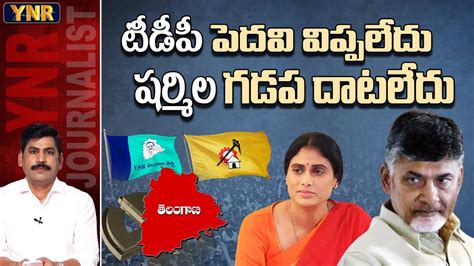 Ys Sharmila And Chandrababu Maintaining Distance In Ts Elections