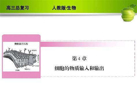 2012高考生物一轮复习人教版必修一课件8word文档在线阅读与下载无忧文档