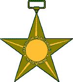 Bronze Star Medal - Wikipedia