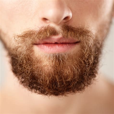 El Trasplante De Barba Y Bigote Un Vistazo Completo Dermoline Hair