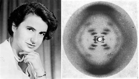 Rosalind Franklin 1920 1958 British Chemist Pioneer Molecular Biologist Central Square