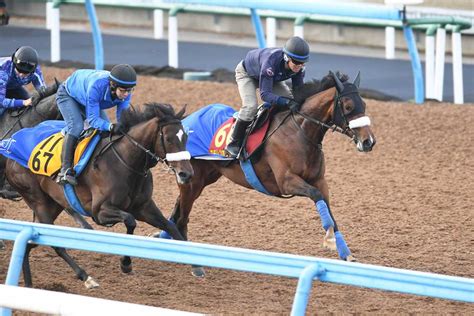 【オークス】調教後の馬体重 ステレンボッシュは前走の桜花賞から増減なし｜競馬ニュース｜競馬予想のウマニティ