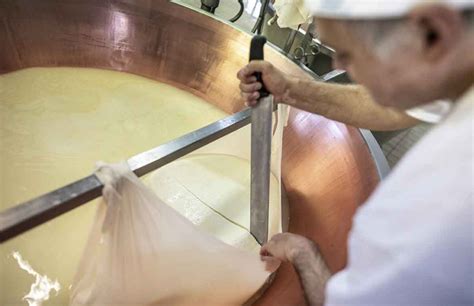 Consorzio Parmigiano Reggiano cos è cosa fa storia Racconti Sociali