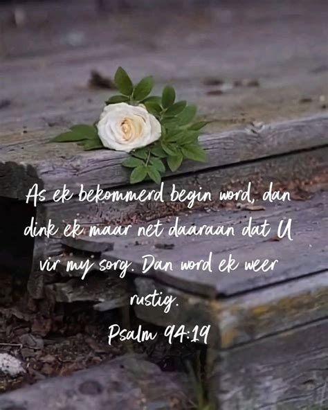 A White Rose Sitting On Top Of A Wooden Bench With A Bible Verse