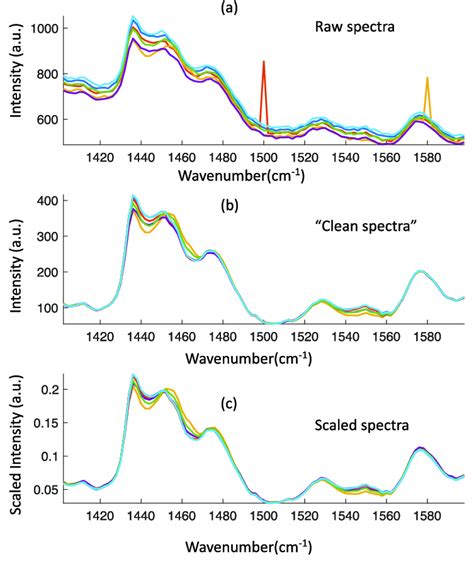 Pre Processing Of Raman Spectra Including Spike Removal Denoise Download Scientific Diagram