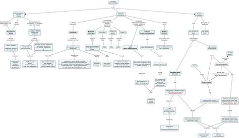 Nmjmyositismuscular Dystrophies