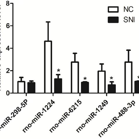 Pathway Analysis Of The Target Genes Of Differentially Expressed Mirnas