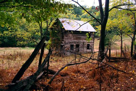 Abandoned Autumn Farm House | Forest Foliage Autumn Fall Nature Pictures